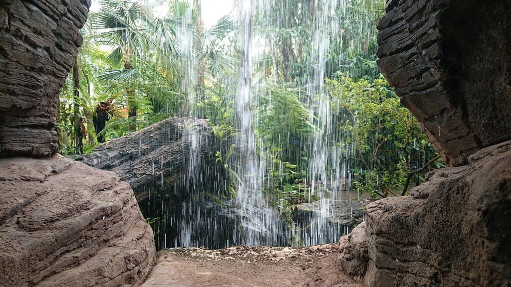 Tranquil Lake and Walking Paths