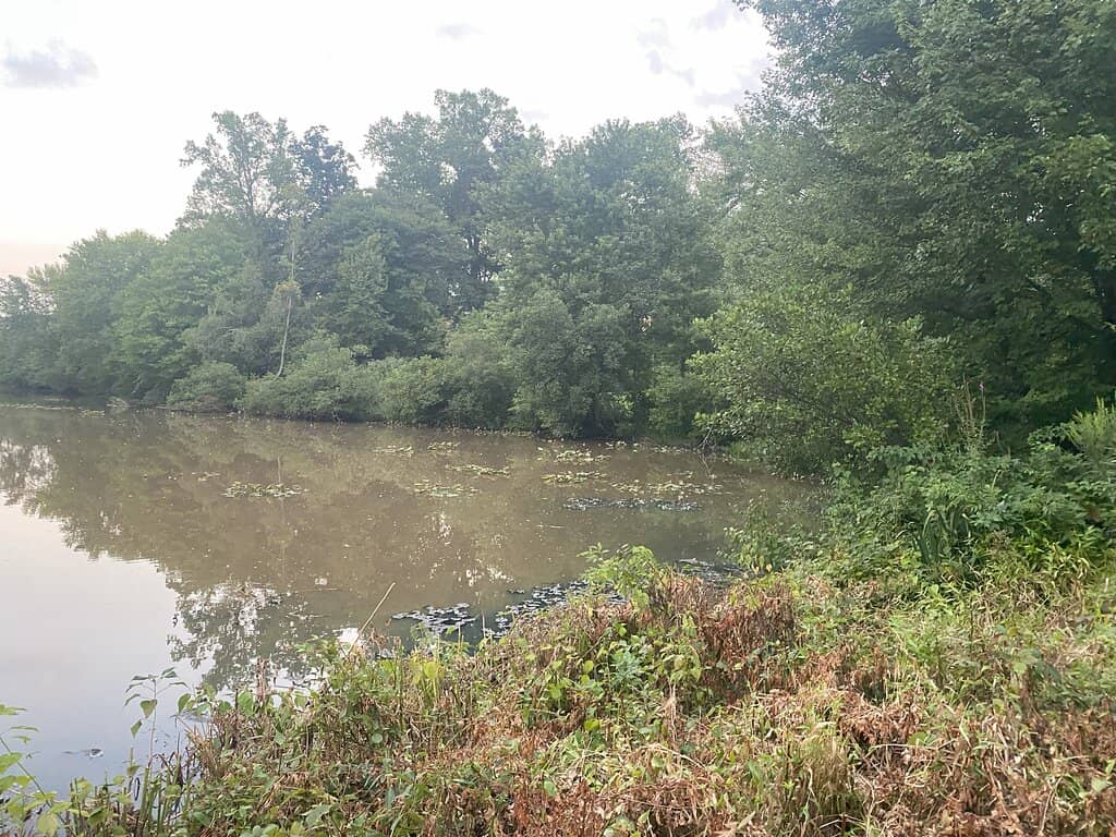 Scenic Walking Paths