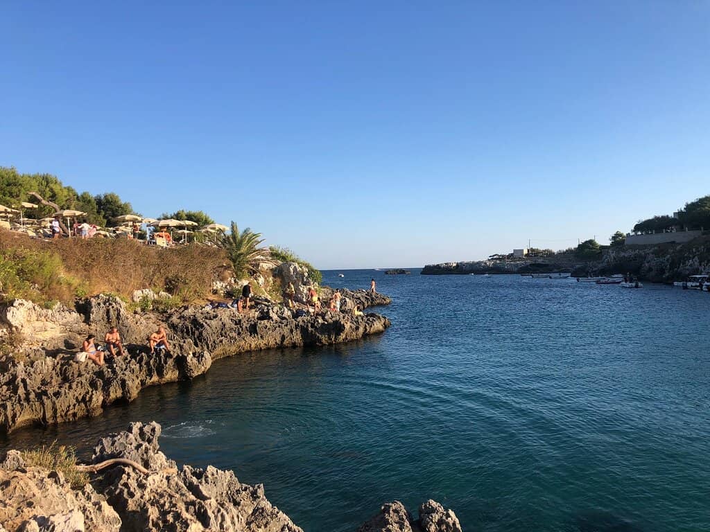 Rocky Shoreline Beauty