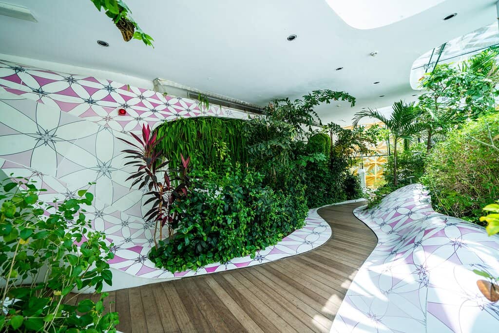 Butterfly House