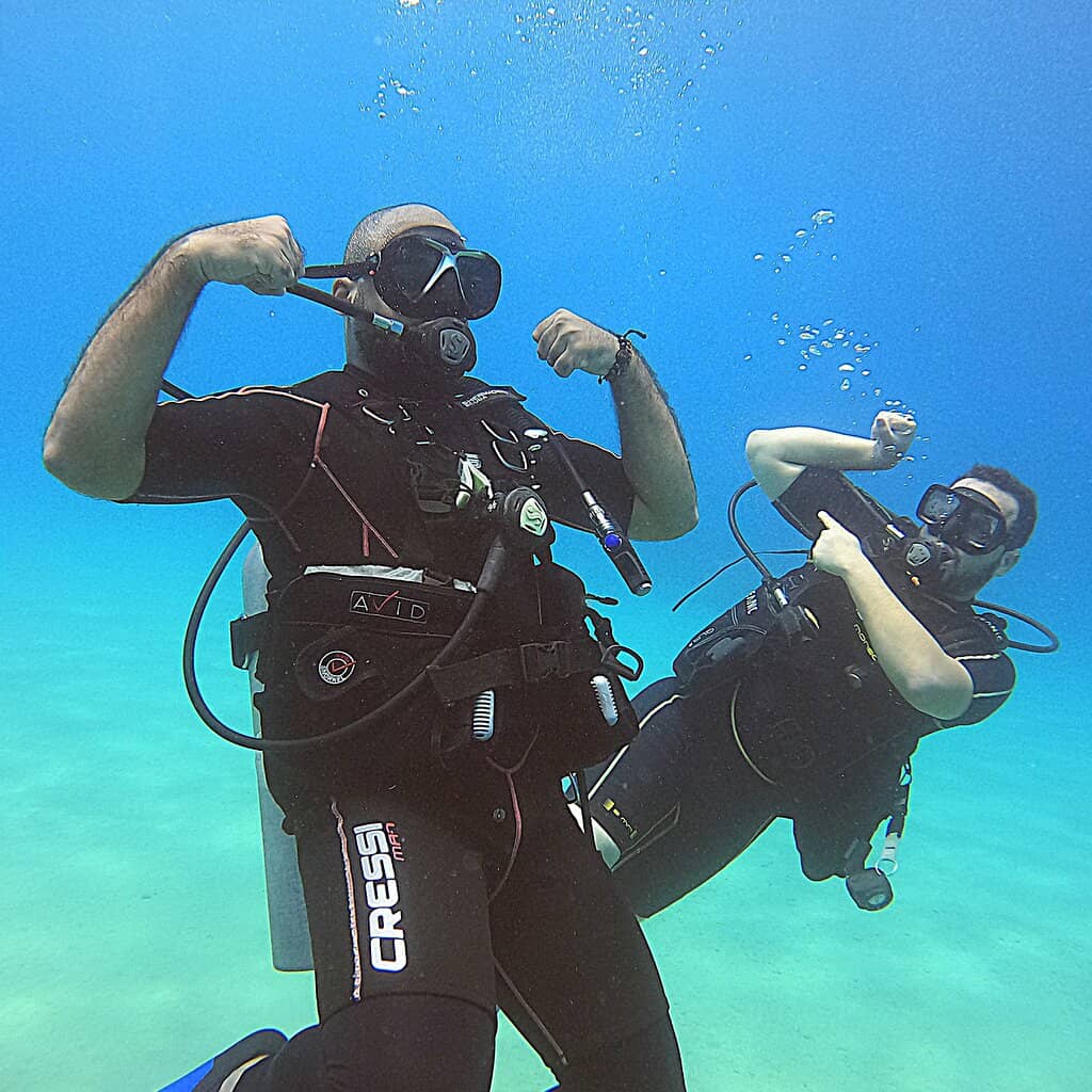Seahorse Spotting