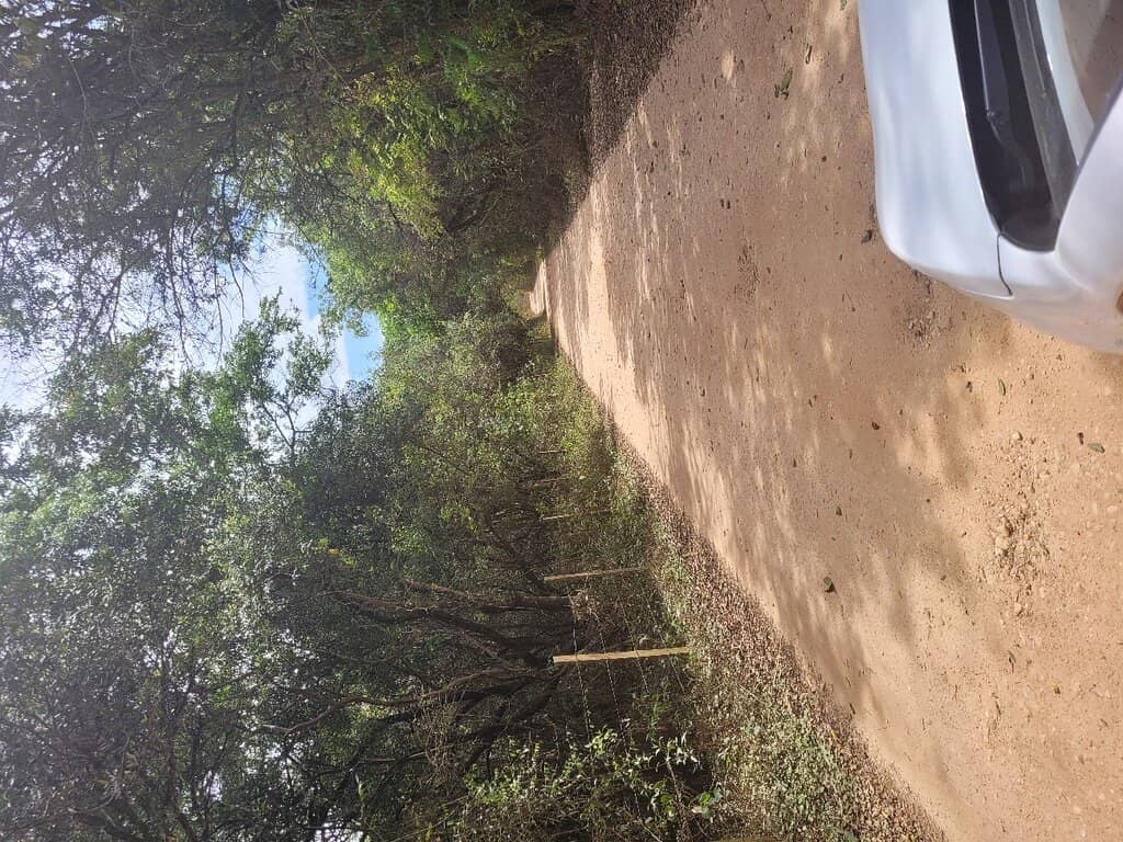 Engenho Ruins