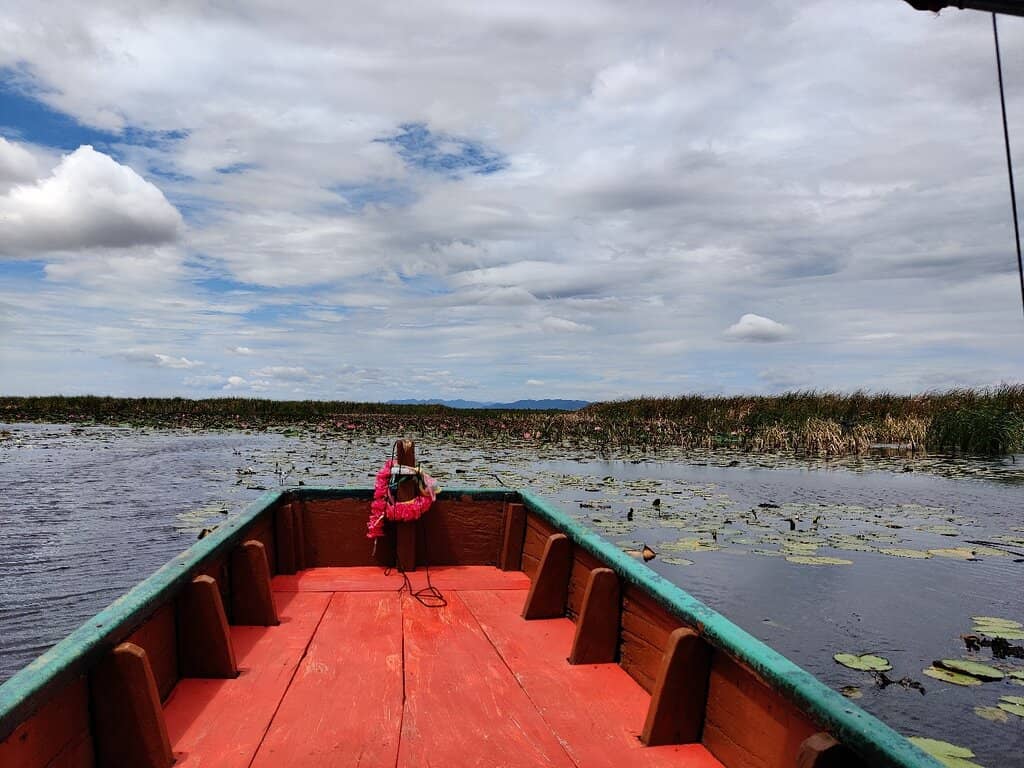 Lotus Lake Serenity
