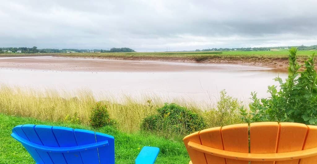 Family-Friendly Playground