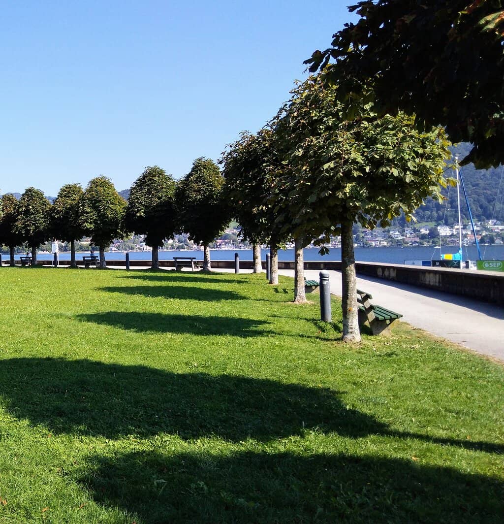 Lakeside Promenade