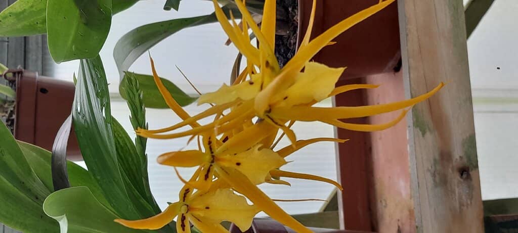 Informative Introductory Film