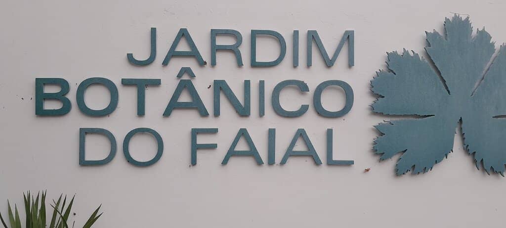 Endemic Azorean Flora