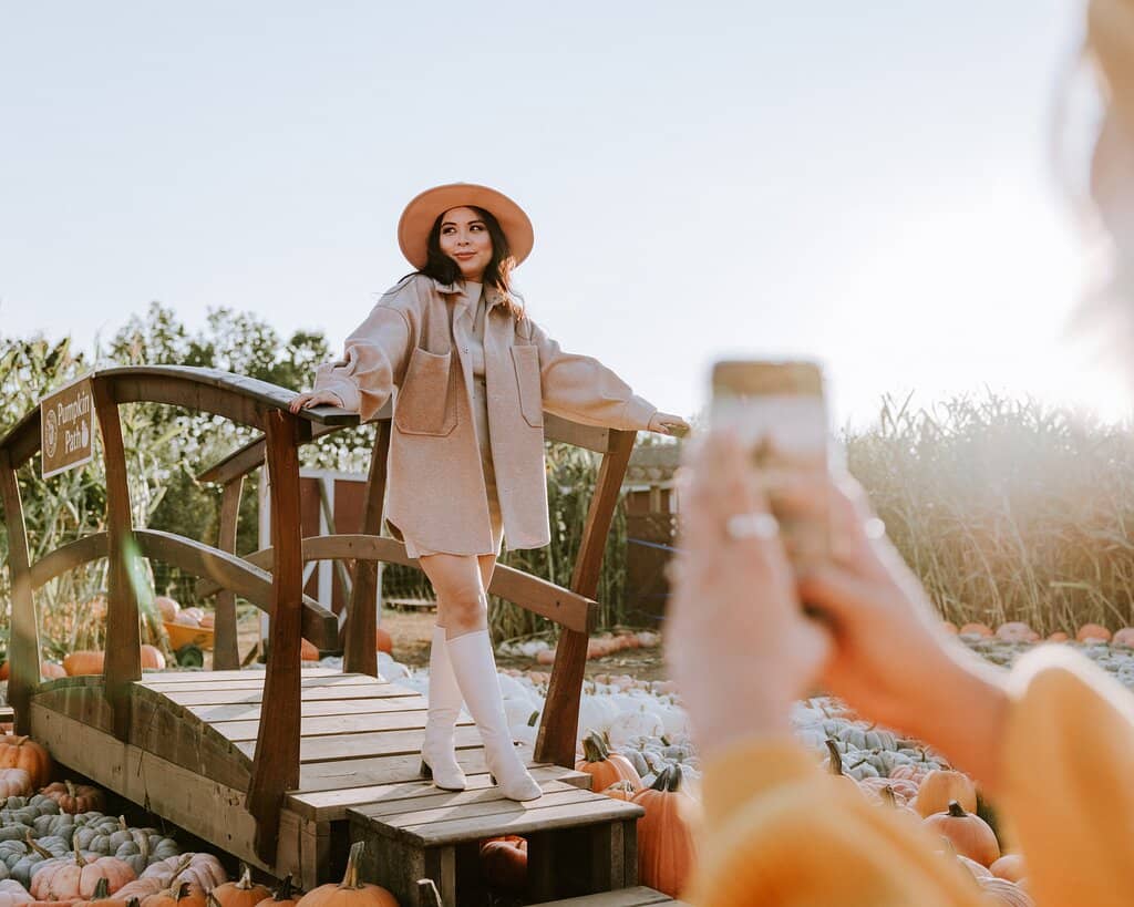 Corn Maze Adventures