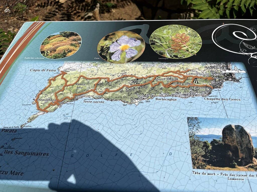 The Yellow Trail