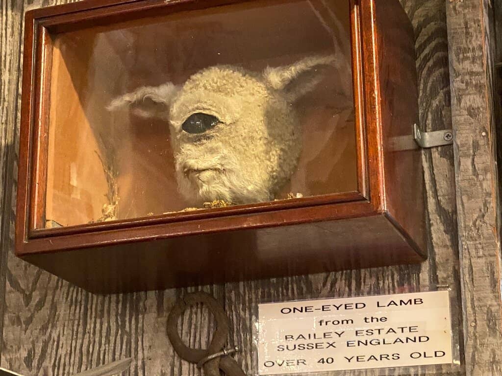 Sterling Silver & Minerals