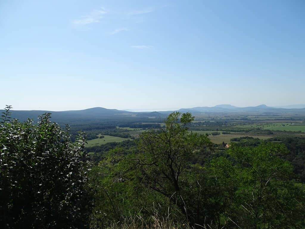 Panoramic Viewpoint