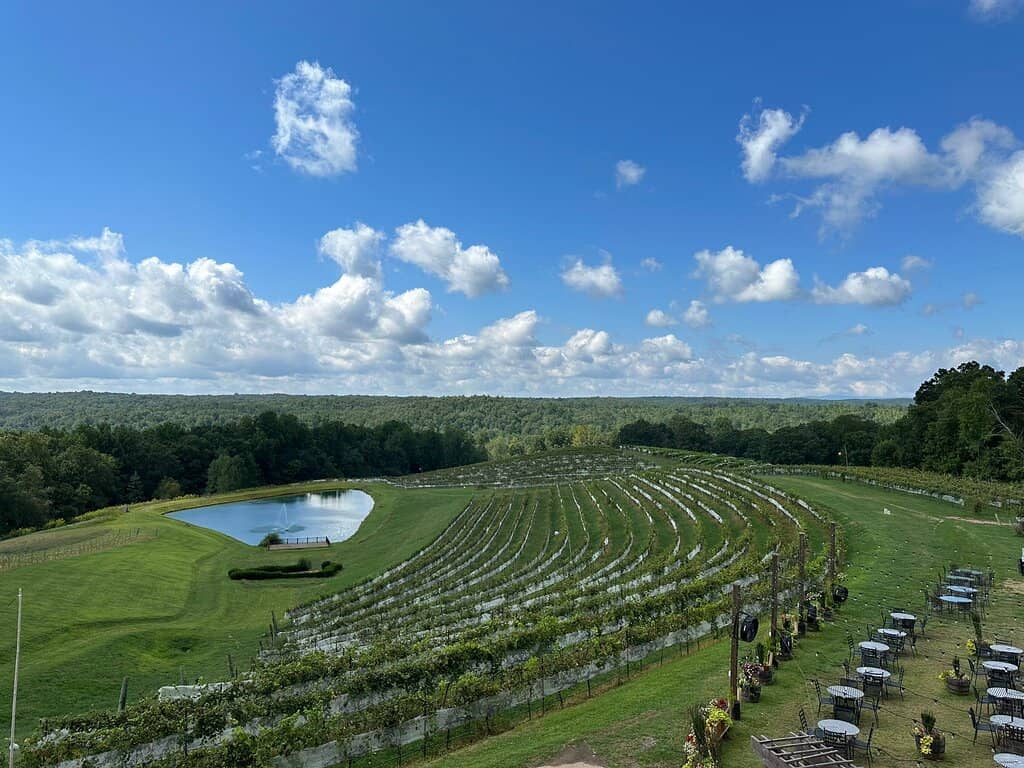 Forest Hiking Trails