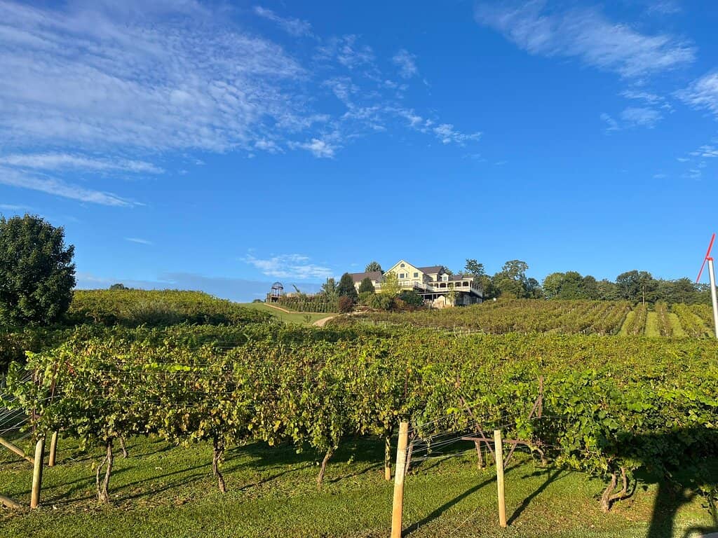 Award-Winning Wines