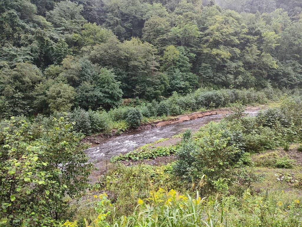 Lake Shikotsu Shoreline