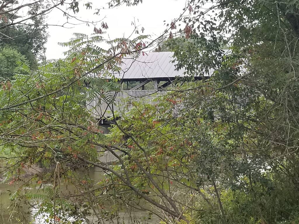 Scenic Pond View
