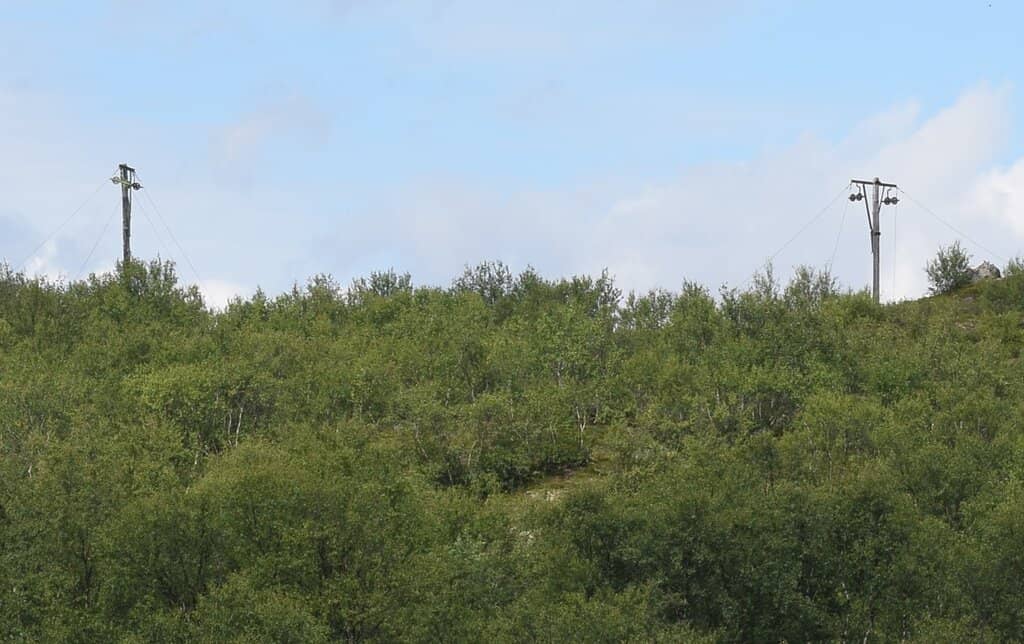 Vertical photo