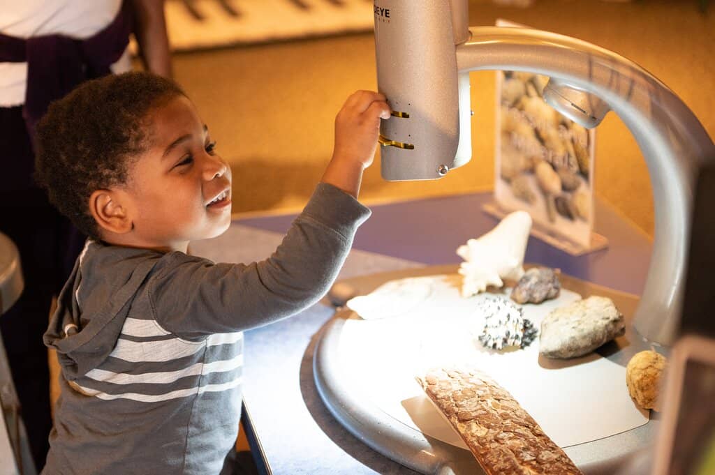 Live Science Shows