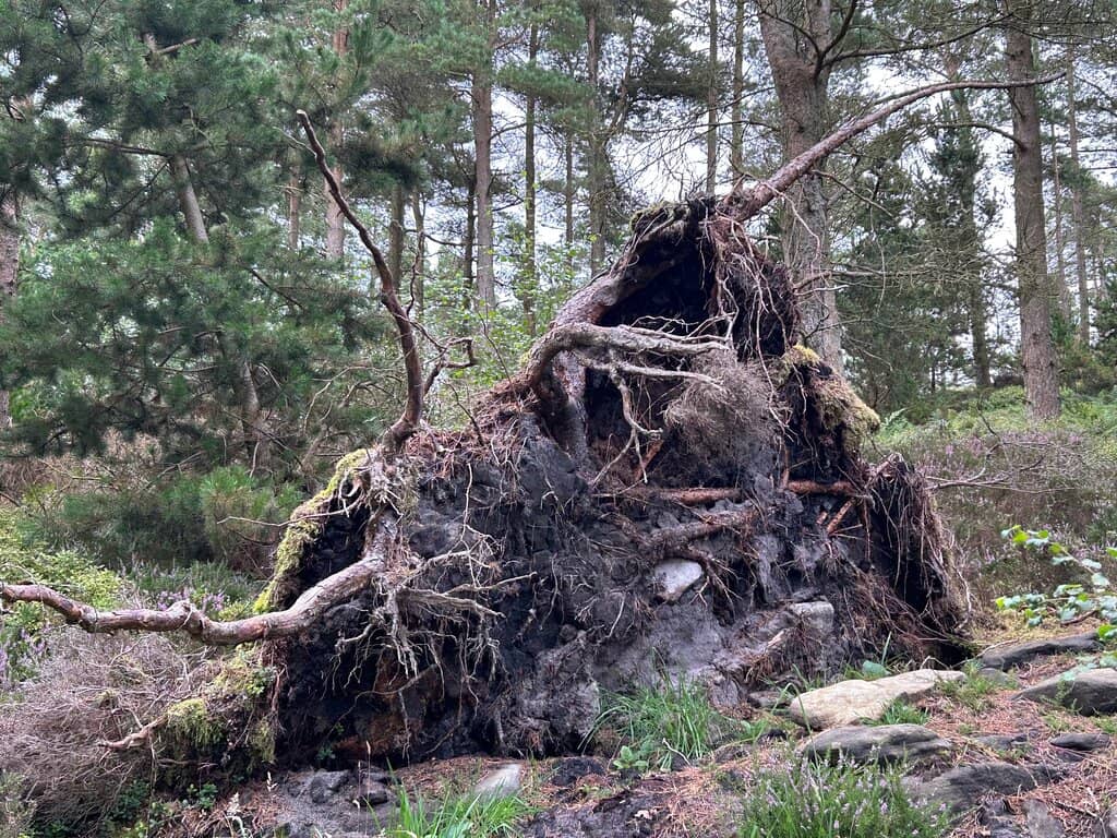 Tosson Hill
