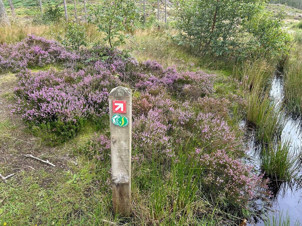 Woodland Trails