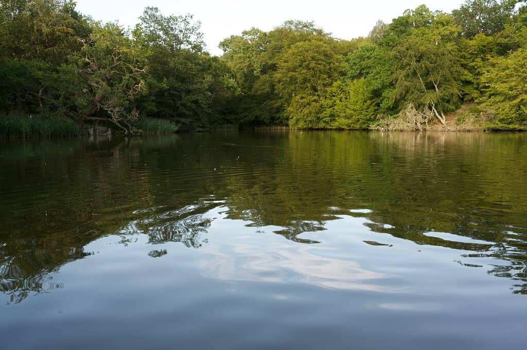 Children's Activity Trail