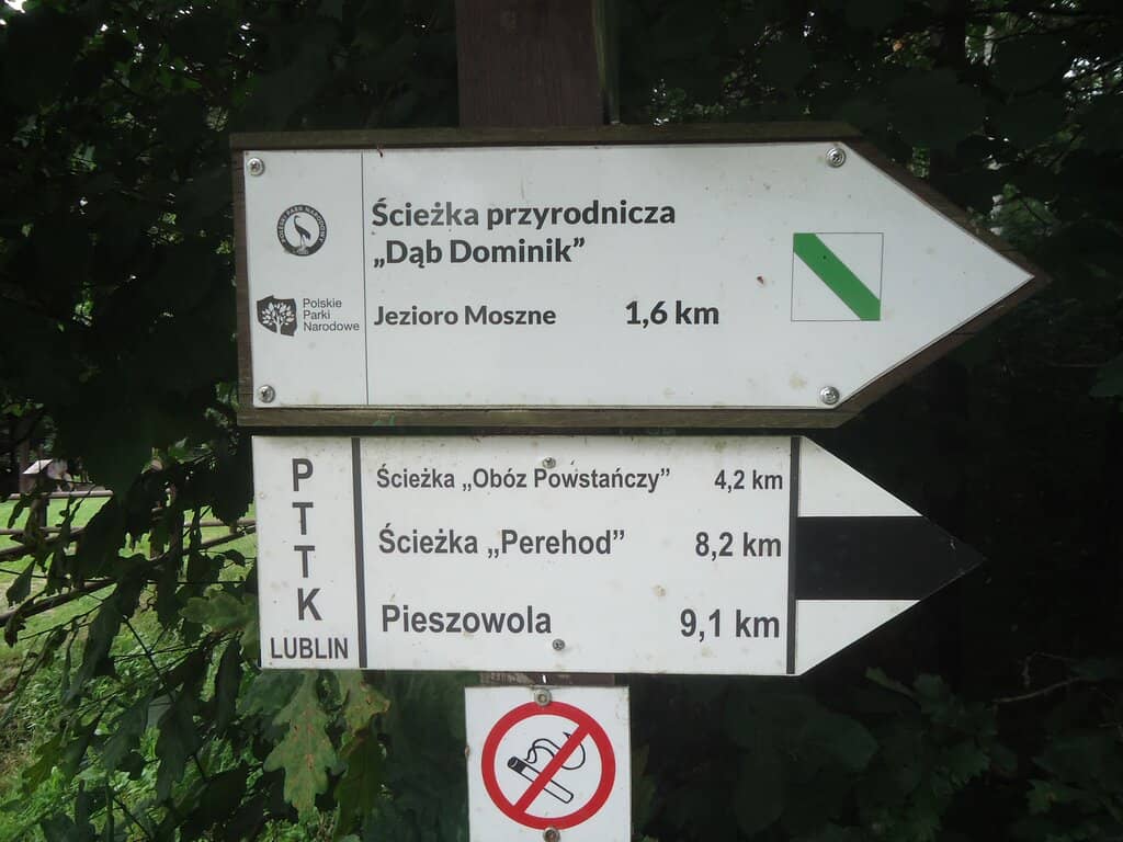 Belarusian Amazon