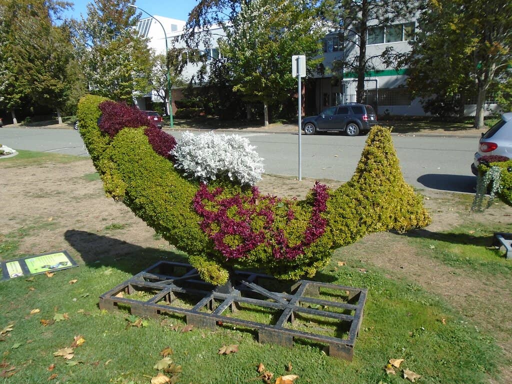 Outdoor Fitness Circuit