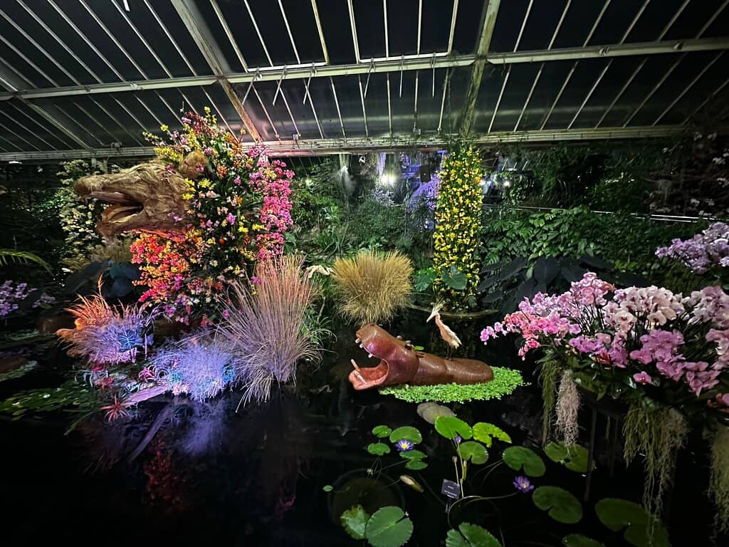 Giant Waterlilies