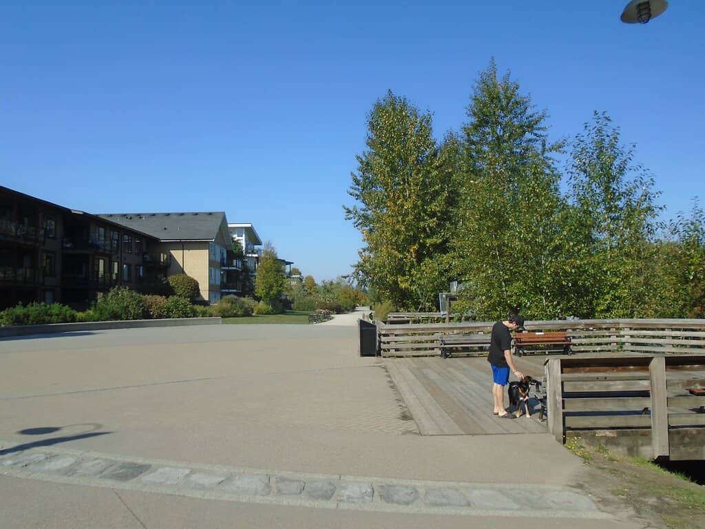 Family-Friendly Biking