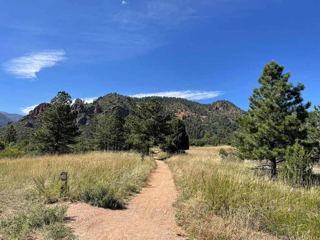 Dog-Friendly Exploration