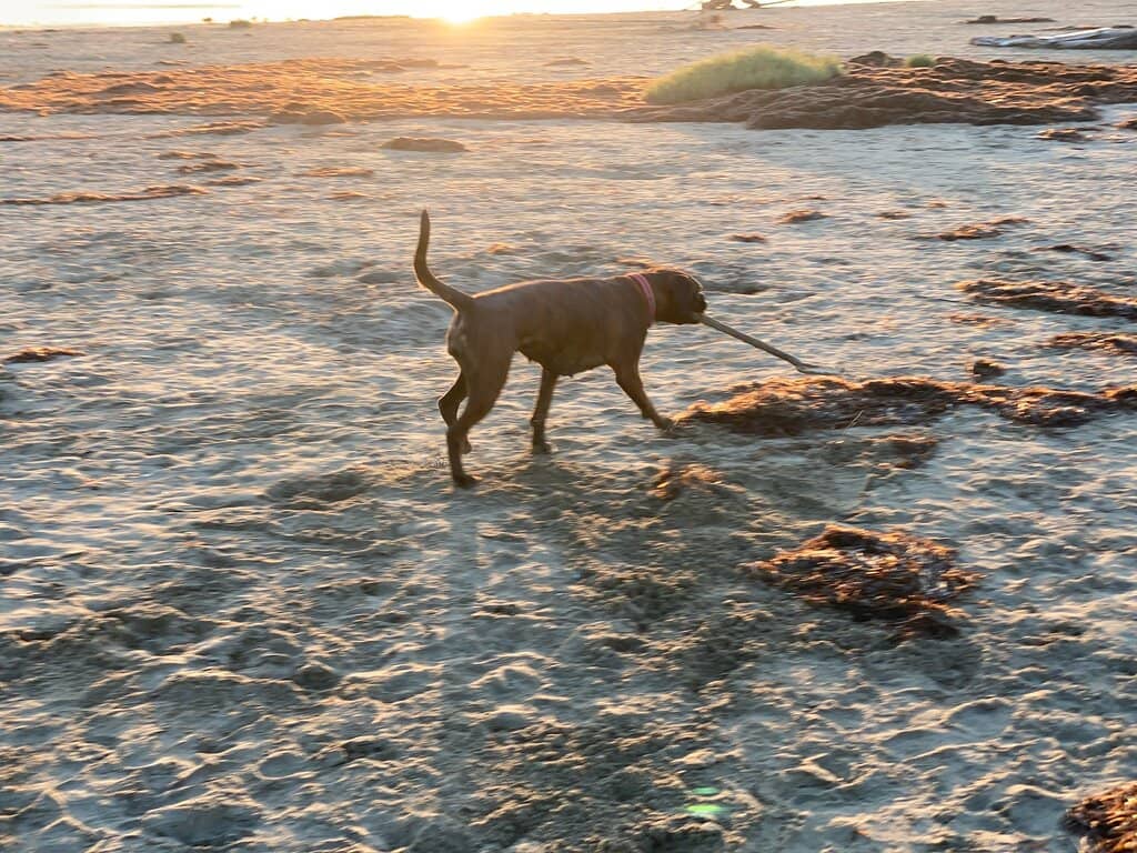 Clean Sand and Shallow Waters