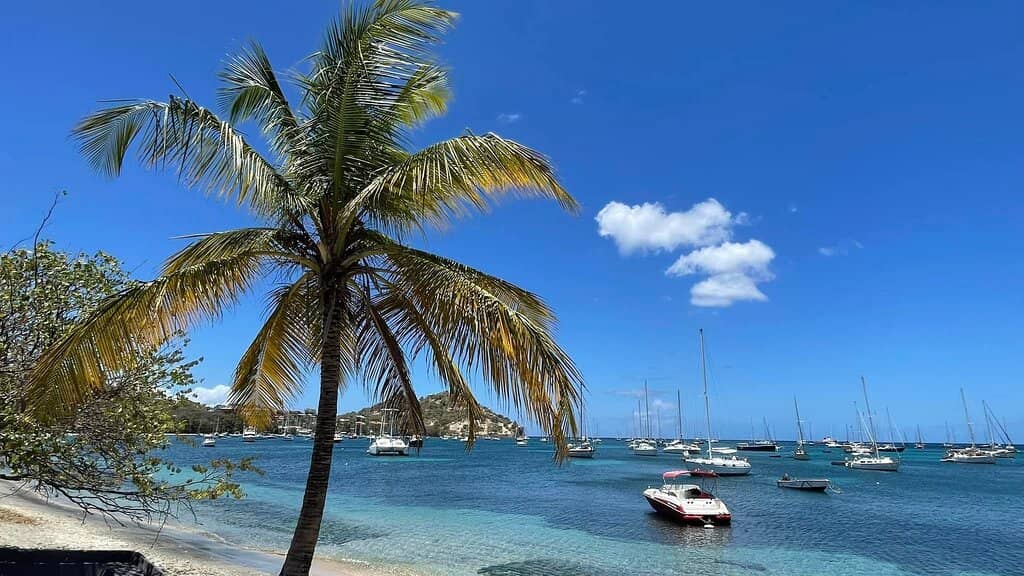 Mangrove Hurricane Hole