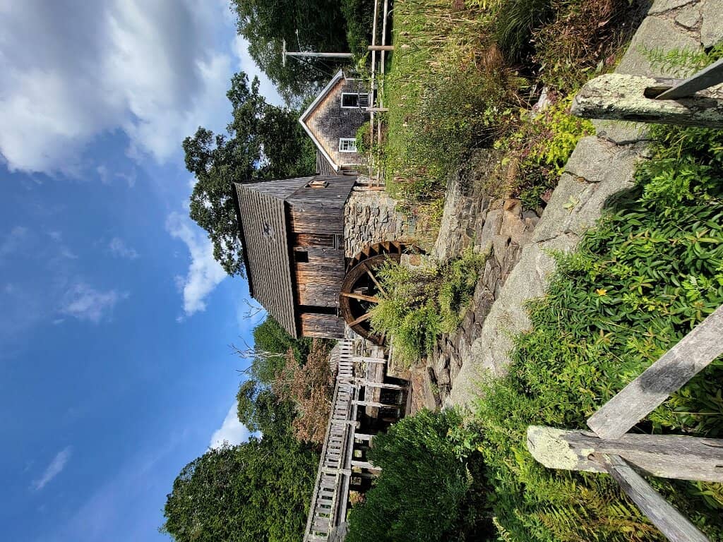 Vertical photo