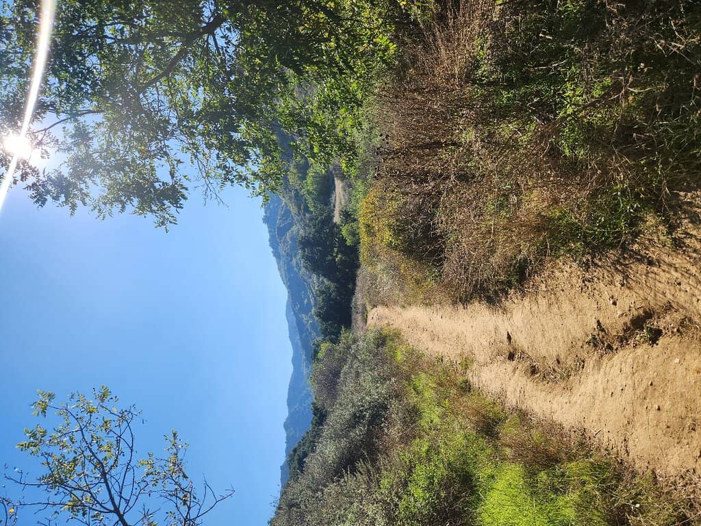 Vertical photo