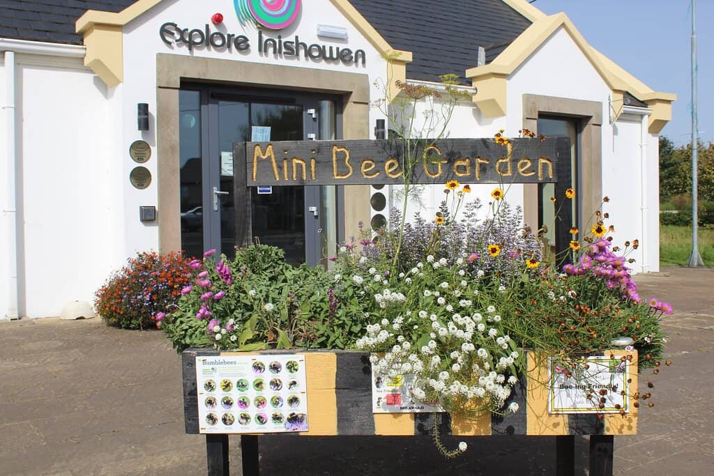 Wild Atlantic Way Views