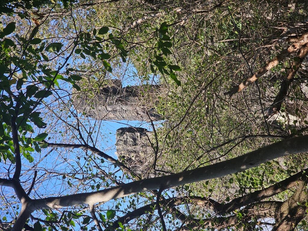 Lake Balaton Panorama