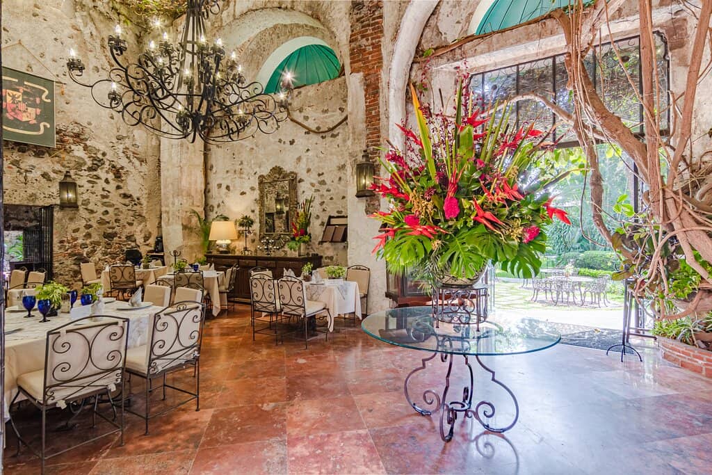 Lush Gardens