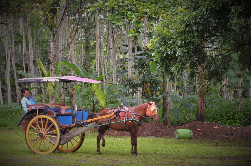 Cycling Through Nature