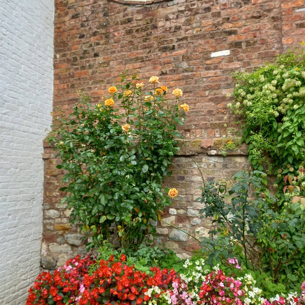 Bridgwater's Archeological Finds