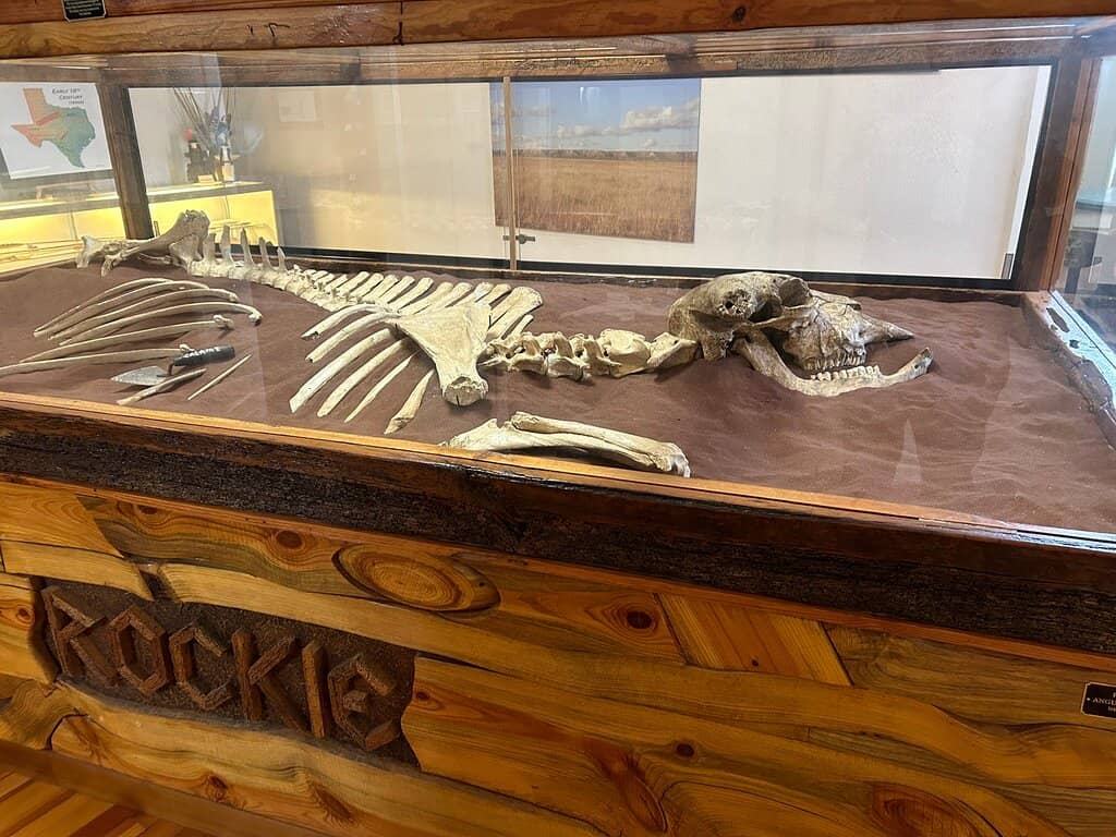 Geology of the Hill Country