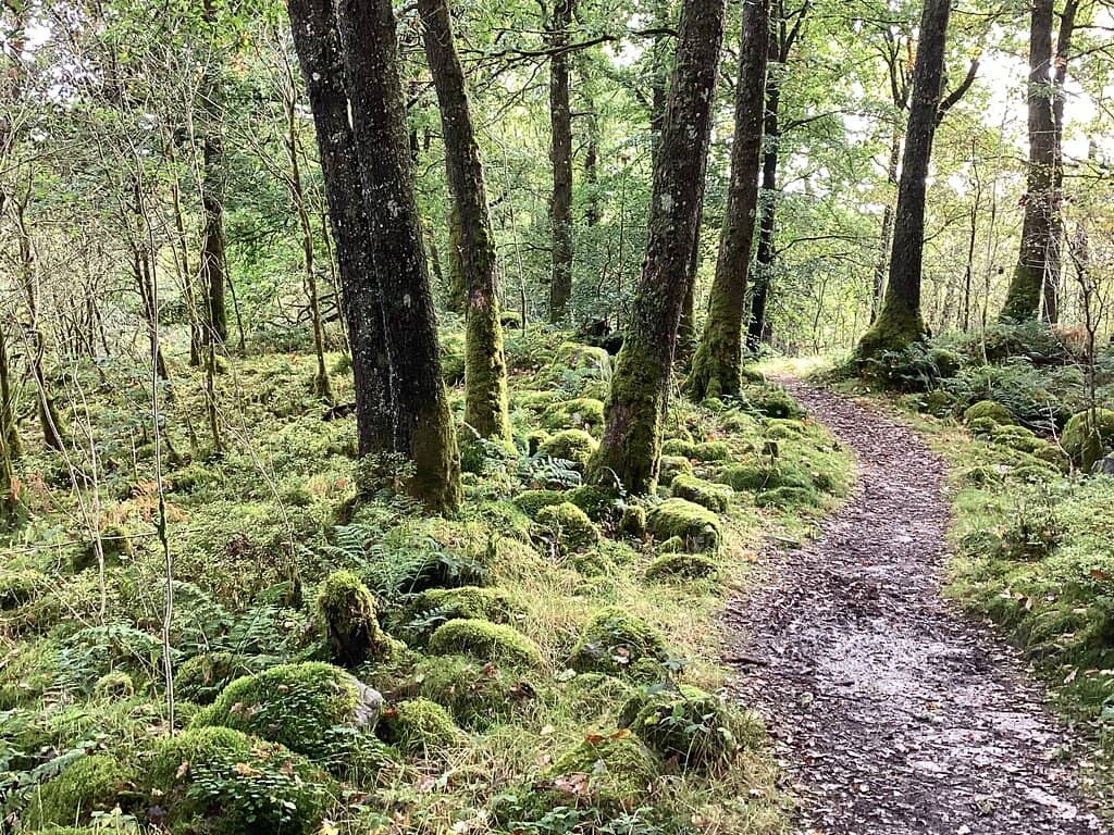 Waterfall Trail