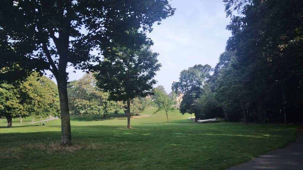 Highlights