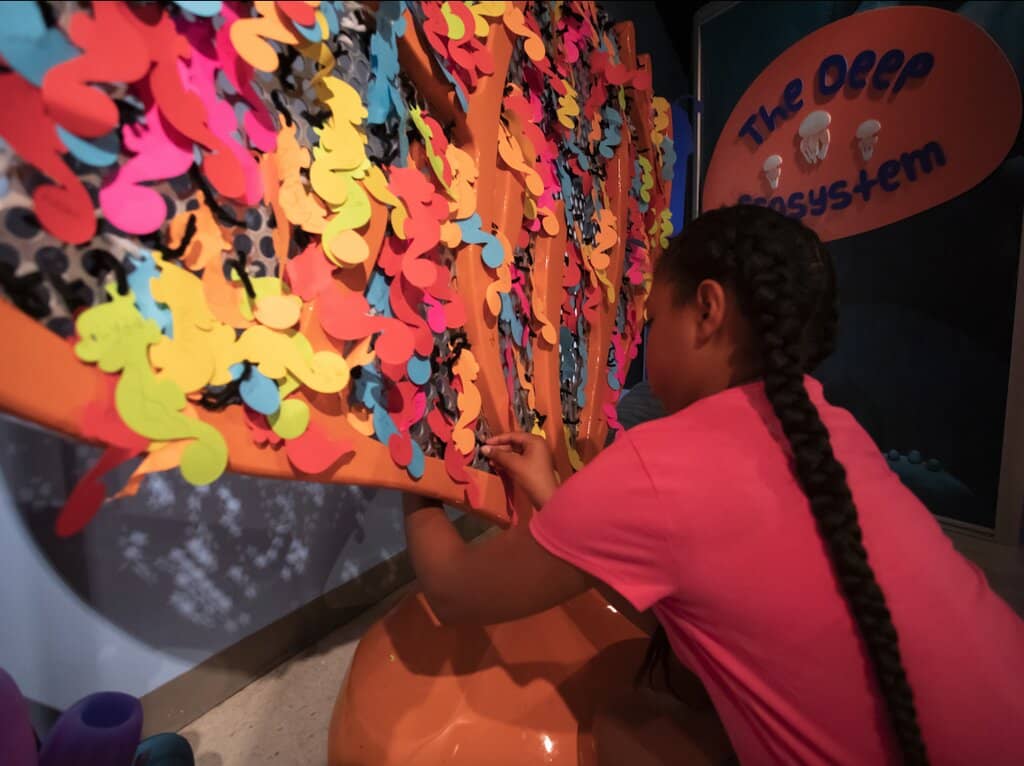 Interactive STEM Zone