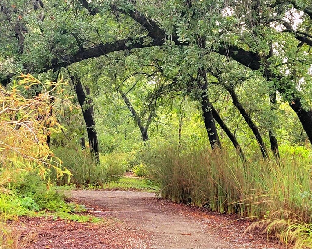 River Trails