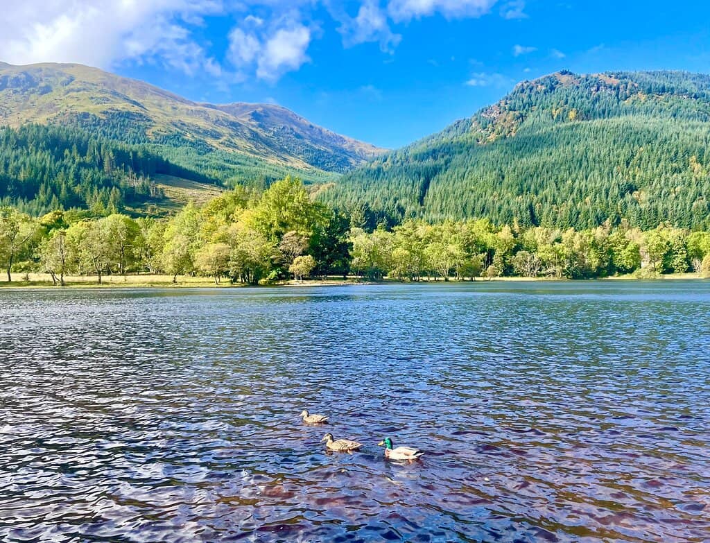 Wild Swimming Haven