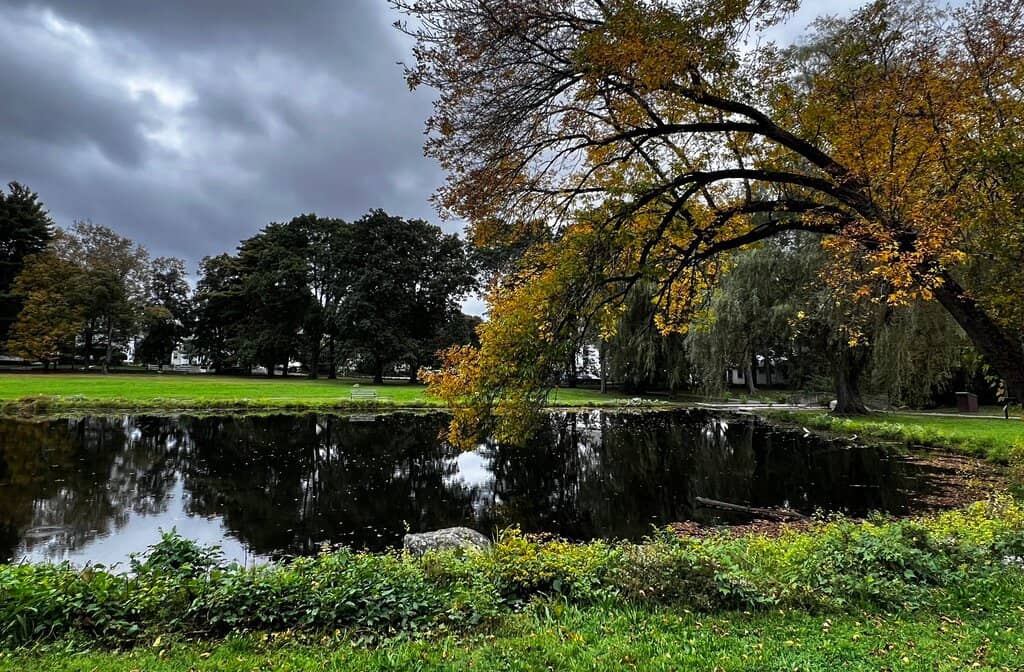 Scenic Walking Paths