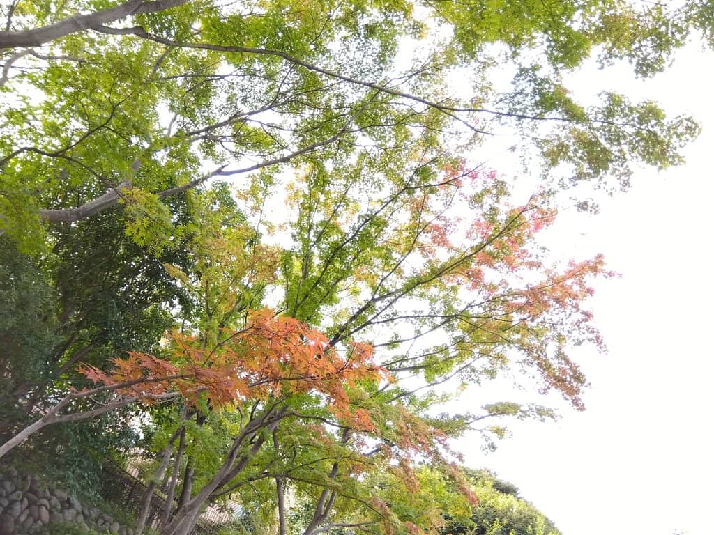 Highlights