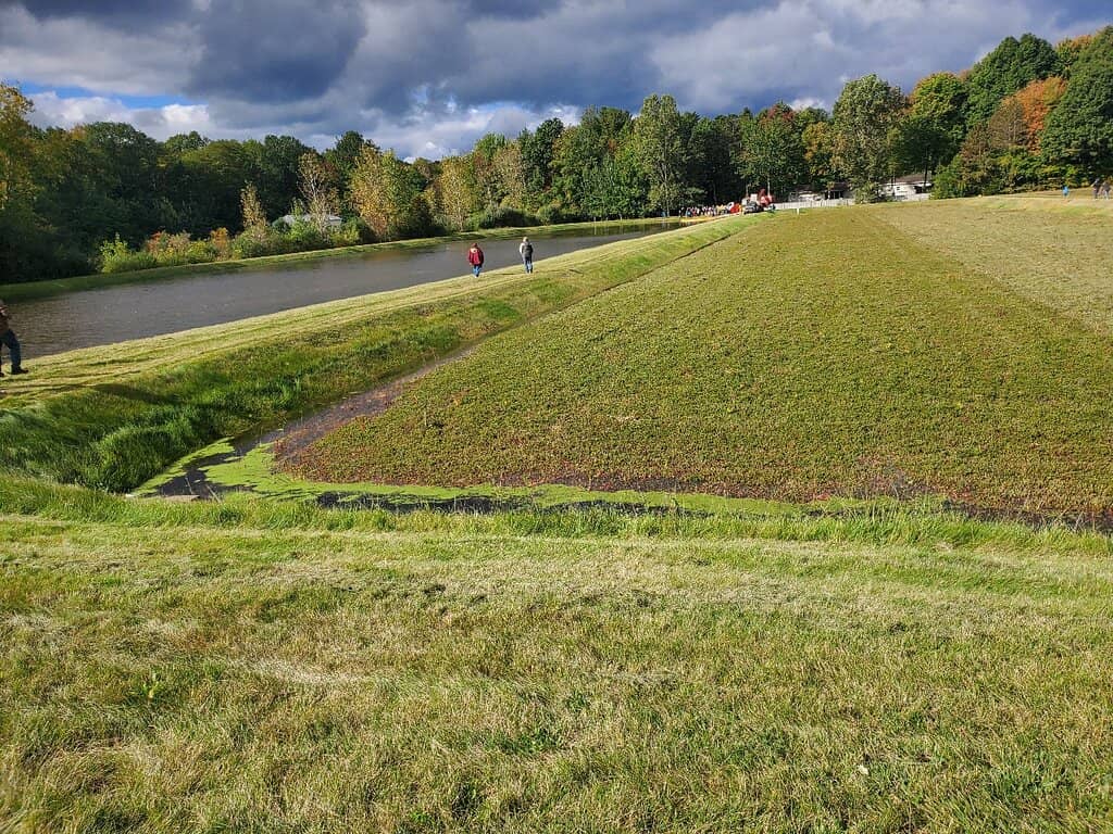 Cranberry Harvest Experience