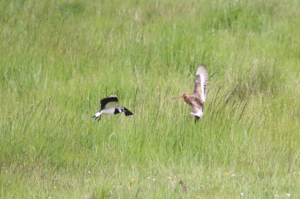 Family-Friendly Activities