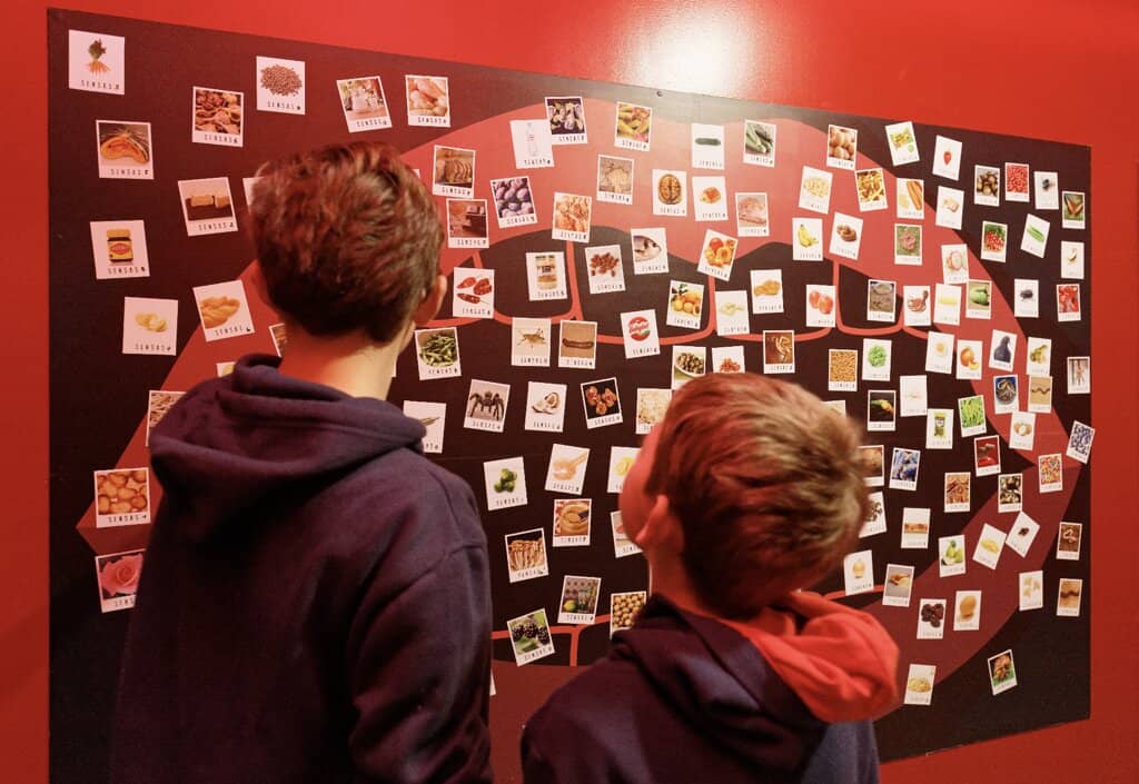 Teamwork and Laughter