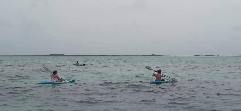 Floating Docks & Activities